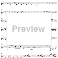 Serenade in D Minor, Op. 44, Movement 4 - Horn in D