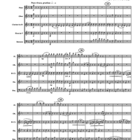 Valse Mignonne - Score