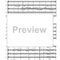 Turkey in the Straw - Score