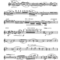 L'usignolo - Flute