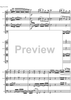 String Quartet No.14 d minor D810 - Score