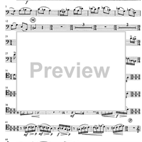 Contrabbasso concertante - Double Bass