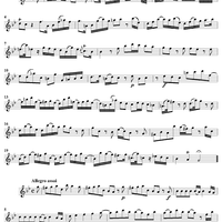 Sonata No. 13 in G Minor - Flute
