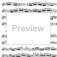 Concerto No. 1 G Major KV313 - Flute