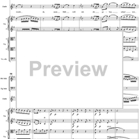 "Ruhe sanft, mein holdes Leben", No. 3 from "Zaide", Act 1, K336b (K344) - Full Score