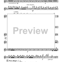 Three Hungarian Dances - Flute