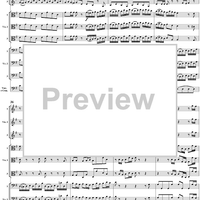 Brandenburg Concerto No. 3: Movement 1 - Score