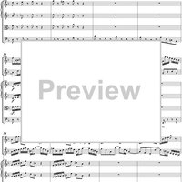 Double Violin Concerto - Score