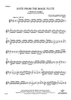 Suite from the Magic Flute - Violin 2