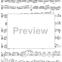 Violin Concerto in E Minor - Violin