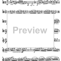 Impromptu No.25 Op.84 - Viola