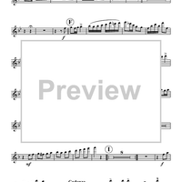 Polka Fantastic - Flutes