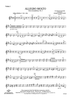 Allegro Molto from Symphony No. 1 - Violin 2