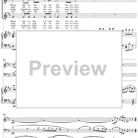 Twenty five Irische Lieder