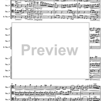 Allegro from a minor concerto - Score