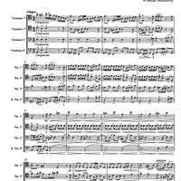 Allegro from a minor concerto - Score