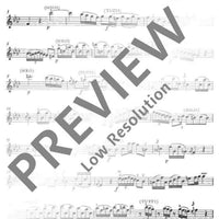 Concerto I F minor - Violin 1