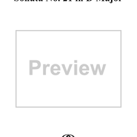 Sonata No. 21 in D Major - Flute