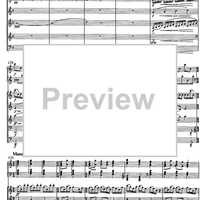 Jarní Hudba (Spring music) - Score