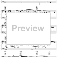 I'll Always Have Denver