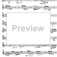 Concerto - B-flat Clarinet/Basset Horn 3