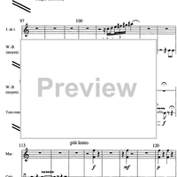 Sylvie et le paon - Percussion