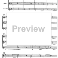 Miniatures Vol. 1 - Score