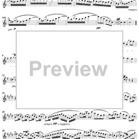 Violin Concerto in E Minor - Violin