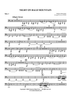 Night on Bald Mountain - Tuba 2