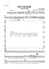 Excelsior - Bassoon 1