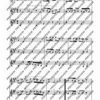 Zwölf Cassationsstücke - Performing Score