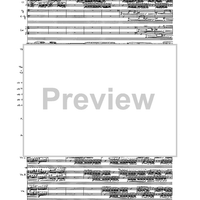 Birds In Light - Full Score