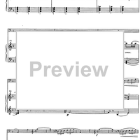 Suite andaluza - Score