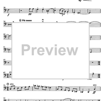 Concertino giocoso Op. 12 - Cello