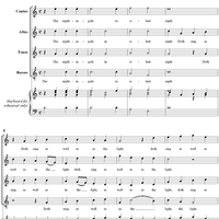 The Nightingale in Silent Night