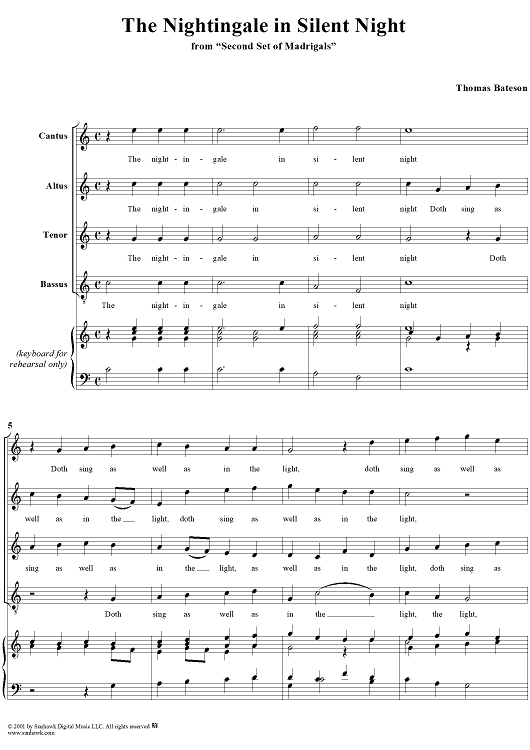 The Nightingale in Silent Night