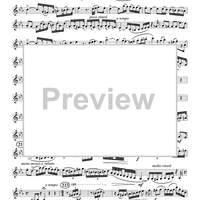 The Yellow Rose of Texas Variations - Euphonium BC/TC