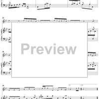 Sonata in G minor for Flute and Harpsichord  Op. 91, No. 2