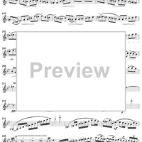 Clarinet Concerto No. 3 in F Minor - Clarinet in B-flat