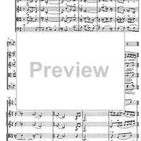 Contrabbasso concertante - Score