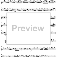 Violin Concerto in A Minor - Violin 1