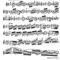 Introduction and Rondo capriccioso a minor Op.28 - Violin