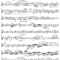String Quartet in E Minor - Violin 1