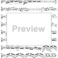 Violin Concerto in E Minor - Violin