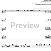 A Lovely, Delightful Summertime - Flute