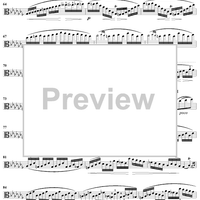 Caprice No. 13 from "Twenty-Four Caprices"