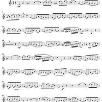 "Schäme dich, o Seele, nicht", Aria, No. 3 from Cantata No. 147: "Herz und Mund und Tat und Leben" - Violin