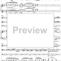 Piano Quartet No. 3 in C Minor, Movement 1 - Piano Score