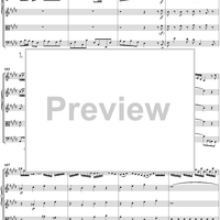 Violin Concerto No. 2 In E Major