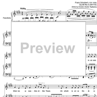 Der Lindenbaum Op.89 No. 5 D911